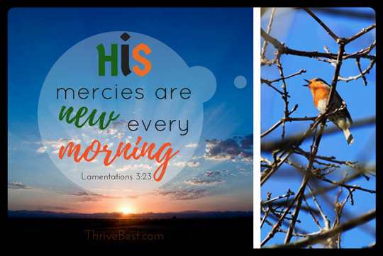 His mercies new in the morning Lamentations 3:23