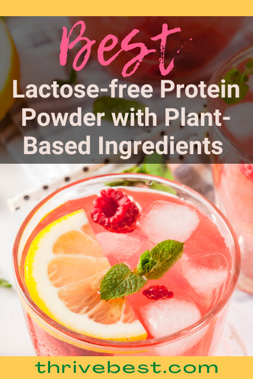 Best Lactose Free Protein Powder with Plant Based Ingredients